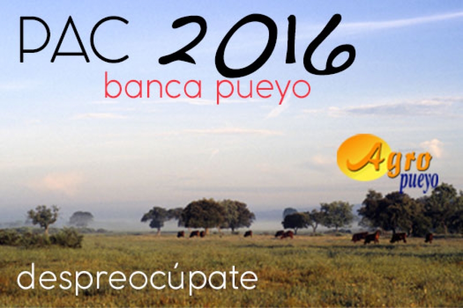 Nueva ampliación del plazo para la PAC 2016 hasta el 15 de junio de 2016